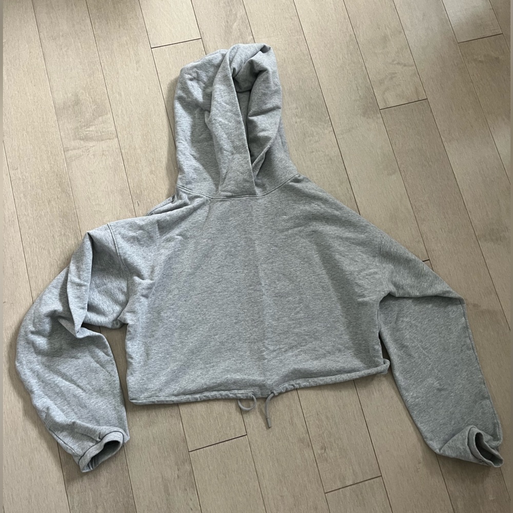 Aritzia Babaton Group Grey Hoodie  (S)